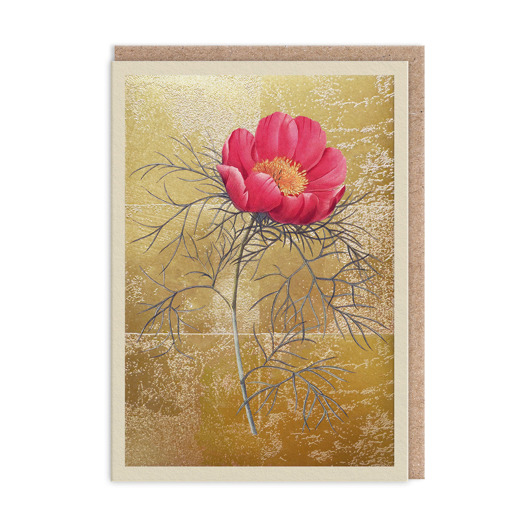 Peony Botanical Greeting Card Bulk Supplier